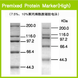 premixed protein marker (high)